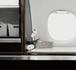 EMBRAER PHENOM 300 2017